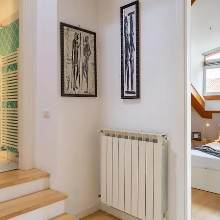 Luxury 350 Sq Mt Flat With Terrace 公寓 *