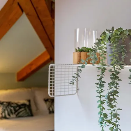 Luxury 350 Sq Mt Flat With Terrace *