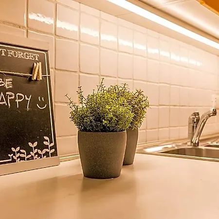 Luxury 350 Sq Mt Flat With Terrace * Triest