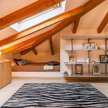 Luxury 350 Sq Mt Flat With Terrace Apartment Triest