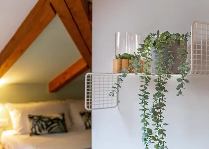 Luxury 350 Sq Mt Flat With Terrace *